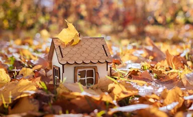 Une petite maison en bois posée sur des feuilles mortes