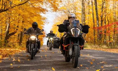 Un groupe de motards circulant sur une route bordée d'arbres en automne