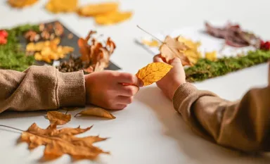 Des mains d'enfants créant un dessin avec des feuilles d'arbres et de la mousse