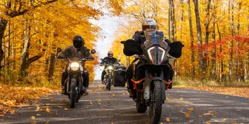 Un groupe de motards circulant sur une route bordée d'arbres en automne