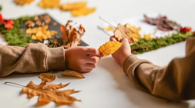 Des mains d'enfants créant un dessin avec des feuilles d'arbres et de la mousse